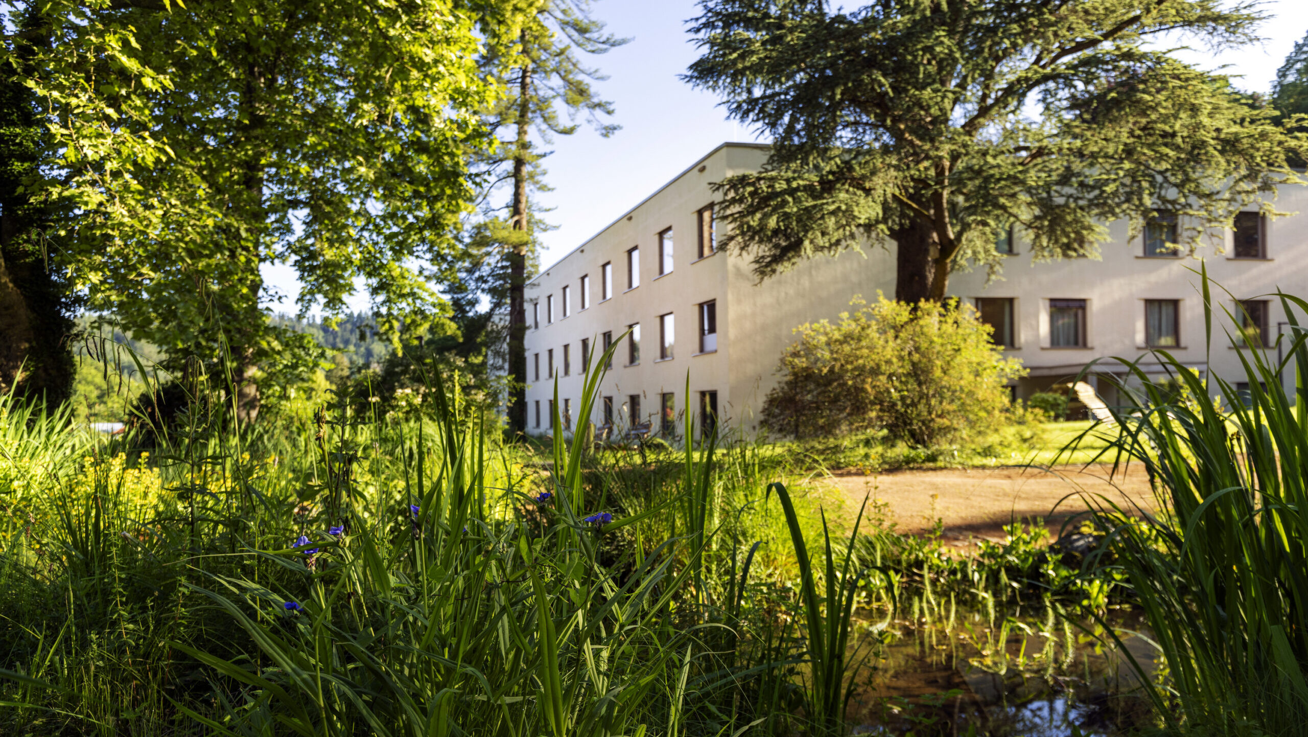 Die Außenansicht auf das Michaelhaus