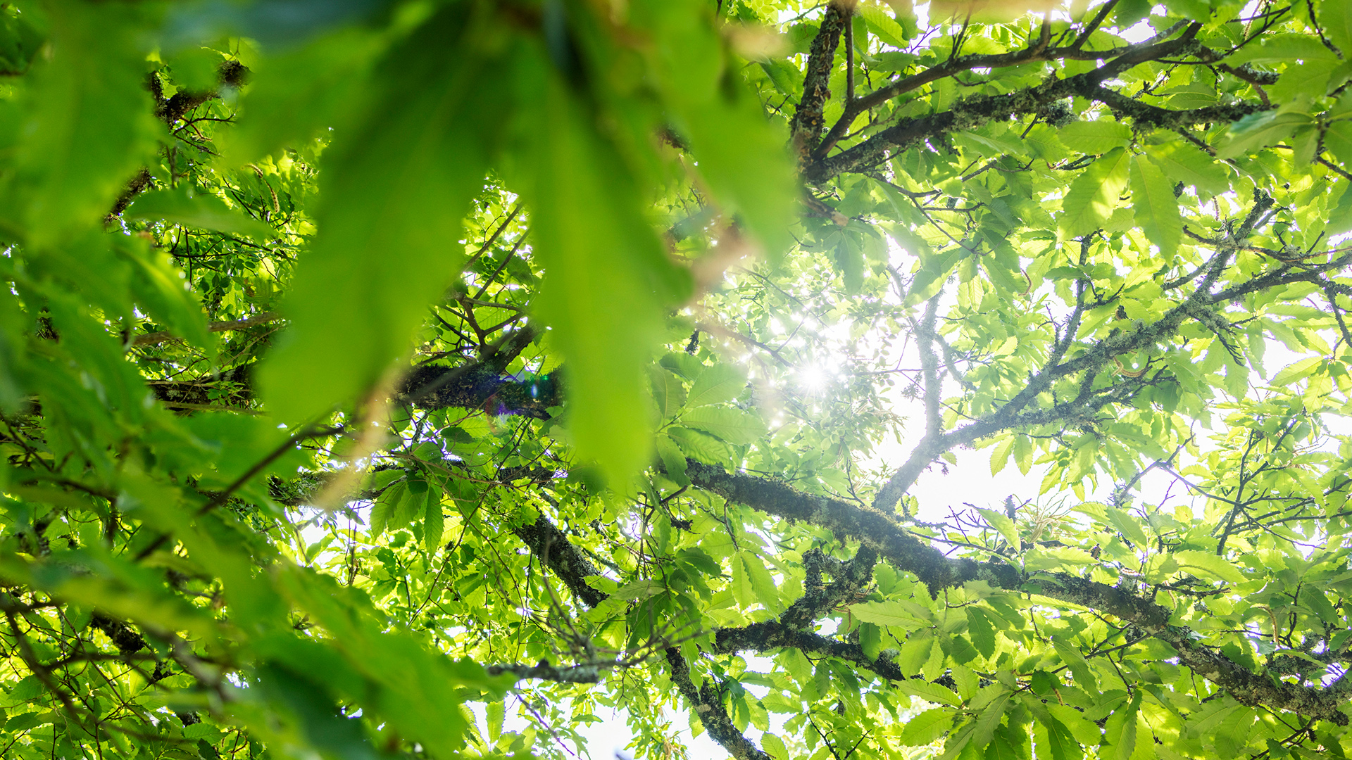 Frühling in der Klinik
