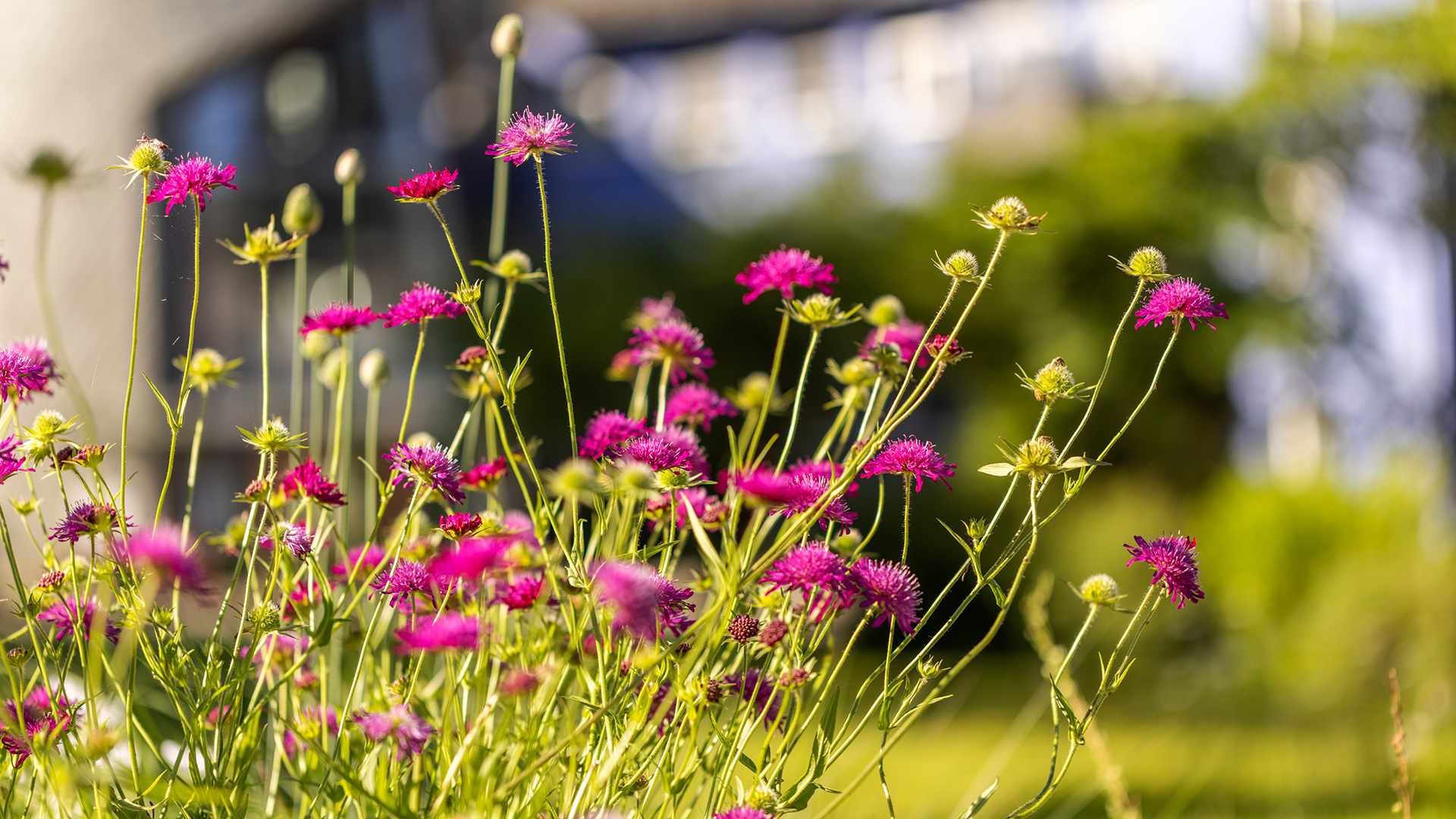Frühling in der Klinik